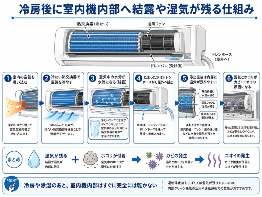 冷房や除湿のあとにエアコン室内機の内部へ結露や湿気が残る仕組みを示した図解。室内の空気が冷たい熱交換器で冷やされ、水分が結露してドレンパンへたまり、ドレンホースから屋外へ排出される流れを説明している。運転停止直後は熱交換器、送風ファン、風の通り道に湿気が残り、ホコリと重なることでカビや臭いの原因になりやすいことも示している。
